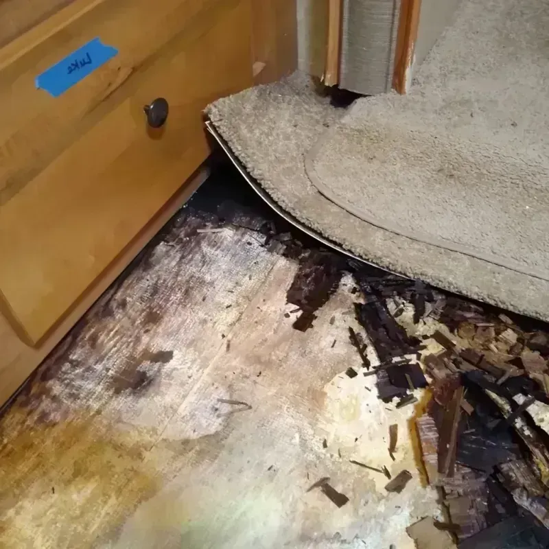 Best Wood Floor Water Damage Service in Robertsville, NJ